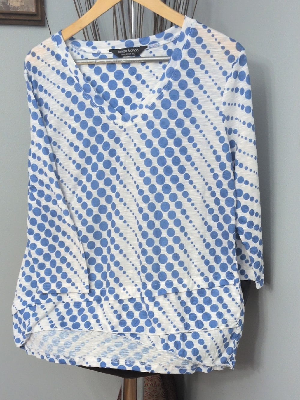 Tango Mango White and Light Blue Polka Dot V-Neck Long Sleeve Top
